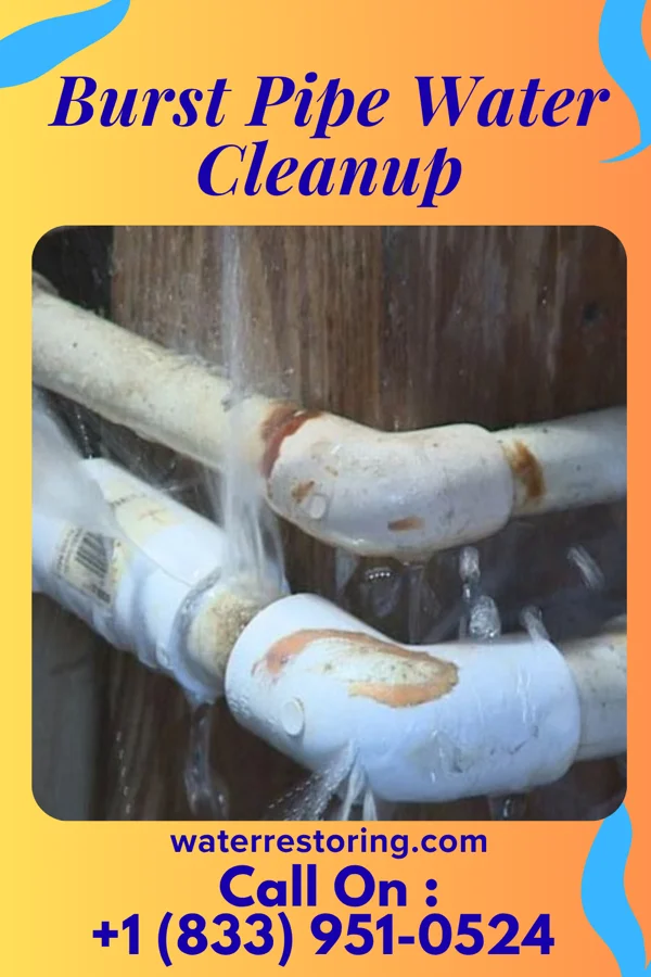 Burst Pipe Water Cleanup in London, KY