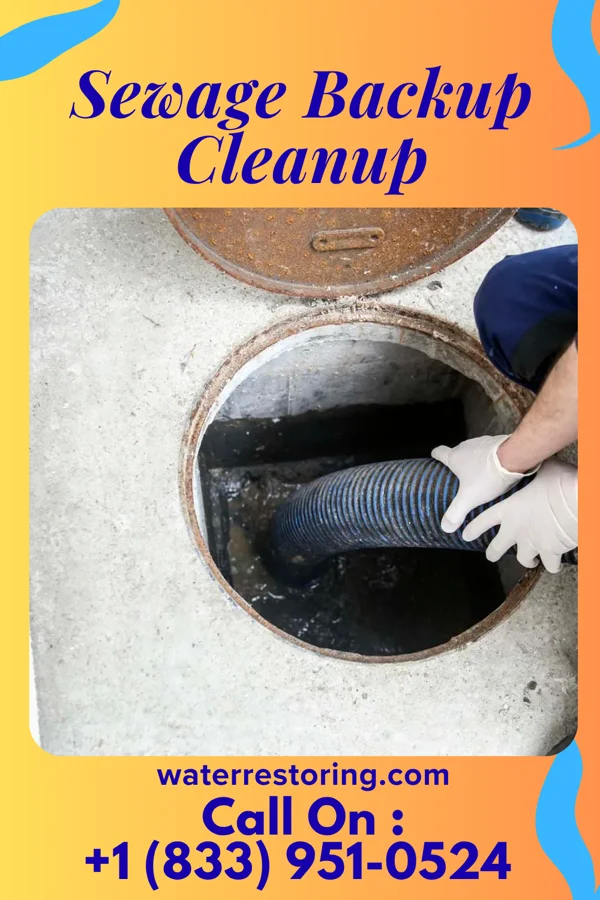 Sewage Backup Cleanup in London, KY